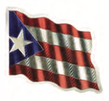 Puerto Rico Flag Foil Magnet